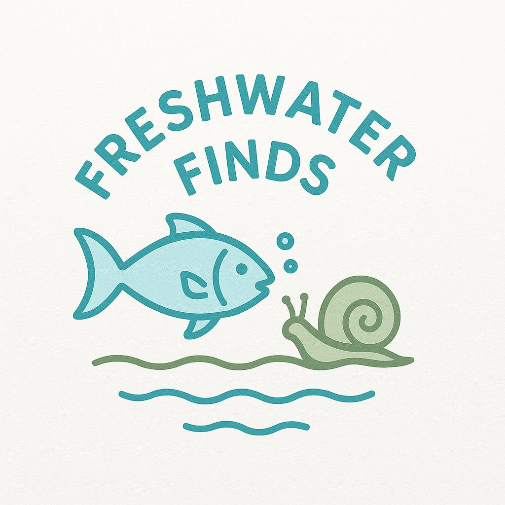 FreshWaterFinds 